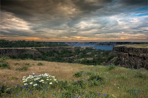 A scenic view of a canyon with lush greenery and wildflowers, under a dramatic sky at sunset.