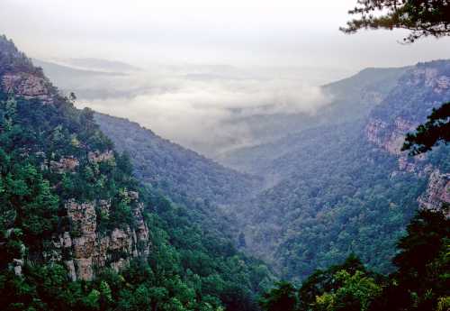 A misty valley surrounded by lush green mountains, with clouds hovering over the treetops.