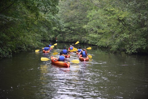 A group of kayakers paddles down a serene, tree-lined river.