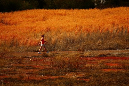 A child walks along a path through tall, golden grass under a warm, orange-hued landscape.