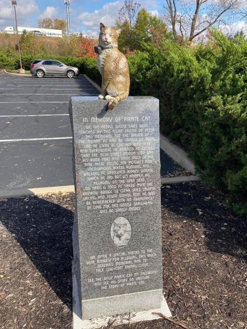 A stone memorial with a cat statue on top, honoring a cat named Pirate, surrounded by greenery and a parking lot.