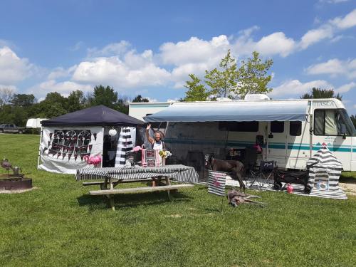 A colorful campsite with a decorated RV, tent, picnic table, and a person posing with a dog in a grassy area.