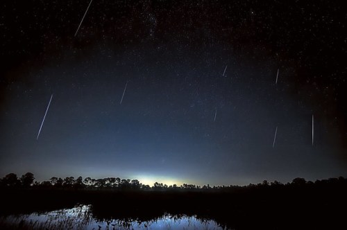 A starry night sky with shooting stars above a calm water surface and silhouetted trees in the foreground.
