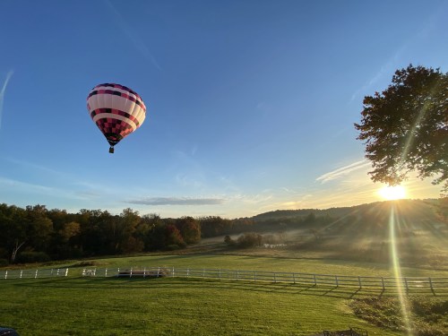 A colorful hot air balloon floats over a green field at sunrise, with trees and a clear blue sky in the background.