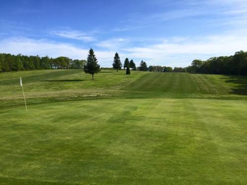 A lush green golf course with a flag on the putting green and trees in the background under a clear blue sky.