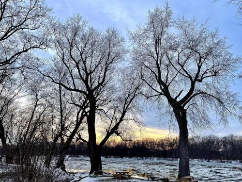 Two bare trees with frost stand by a river at sunset, with a cloudy sky and a hint of orange in the background.