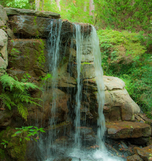 A serene waterfall cascading over rocks, surrounded by lush greenery and ferns.
