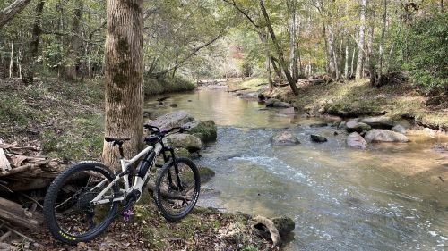 A mountain bike rests against a tree by a serene creek surrounded by lush greenery and smooth rocks.