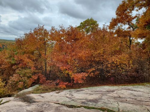 A rocky outcrop surrounded by vibrant autumn foliage in shades of orange and yellow under a cloudy sky.