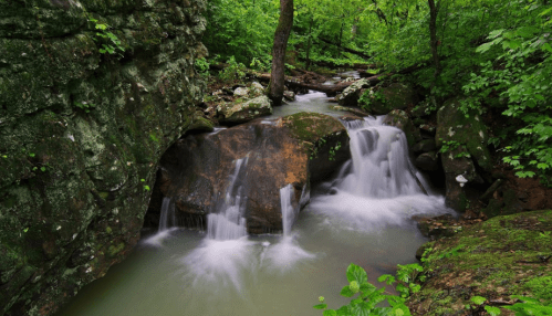 A serene waterfall flows over rocks in a lush green forest, surrounded by vibrant foliage and tranquil water.