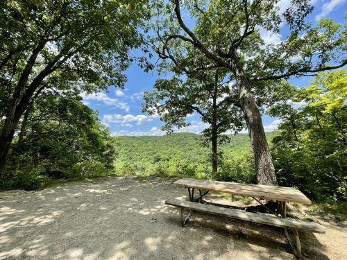 A scenic view of a green valley from a picnic area with a wooden table under a large tree and a blue sky.