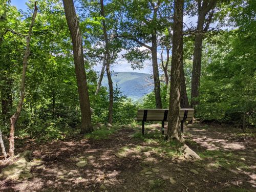 A wooden bench in a forest clearing, overlooking a scenic view of mountains and a blue sky.