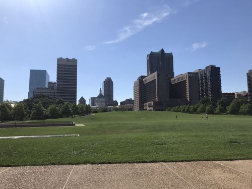 A wide green park with a city skyline in the background under a clear blue sky.