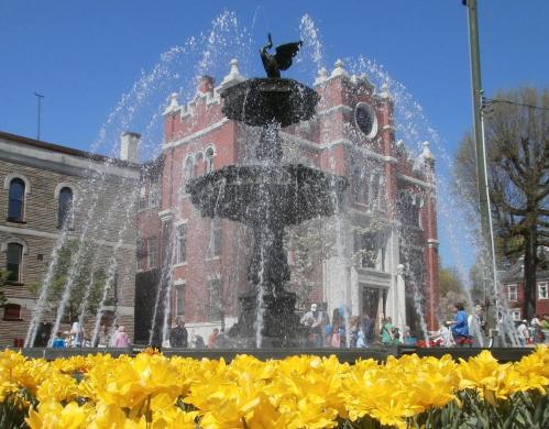 A fountain with a statue sprays water in front of a historic building, surrounded by vibrant yellow tulips.