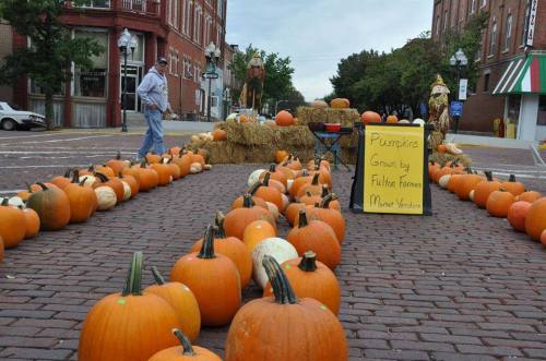 A street lined with pumpkins, a sign reading "Pumpkins Grown by Fulton Farms," and a festive display in the background.