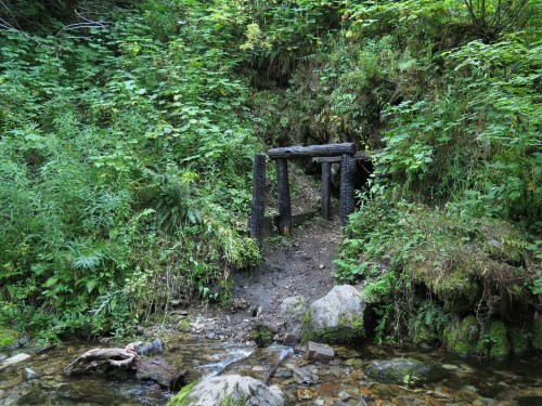A rustic wooden structure near a stream, surrounded by lush green foliage and rocky terrain.