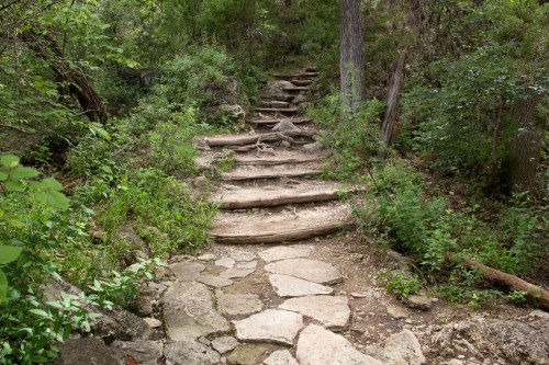 A winding stone and wooden staircase leads through a lush, green forest.