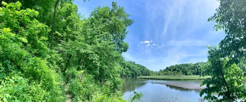 A serene river scene surrounded by lush green trees under a bright blue sky with a few clouds.