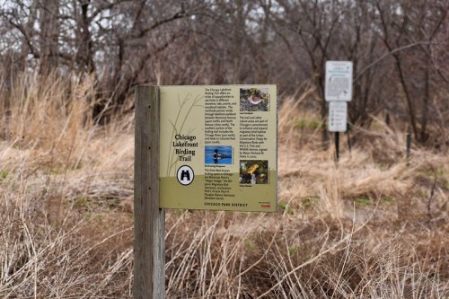 Sign for the Chicago Lakefront Birding Trail, surrounded by tall grass and trees, with another sign in the background.