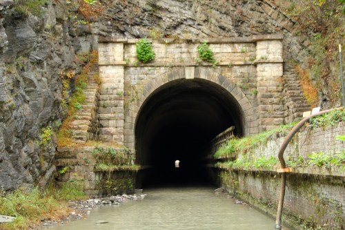 A dark stone tunnel entrance surrounded by rocky cliffs, with water flowing in front and greenery on the walls.