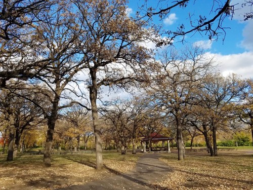 A park scene with bare trees, fallen leaves, and a gazebo under a blue sky with scattered clouds.