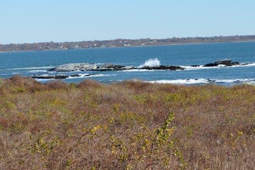 A coastal view featuring rocky outcrops and gentle waves, with sparse vegetation in the foreground and a clear blue sky.