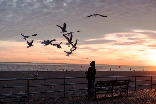 A person stands on a beach at sunset, surrounded by seagulls flying overhead.