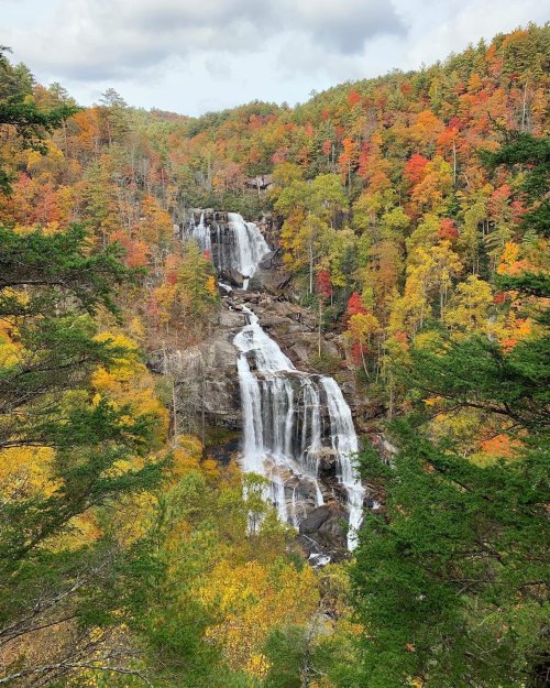 A scenic view of a waterfall surrounded by vibrant autumn foliage in a forested landscape.