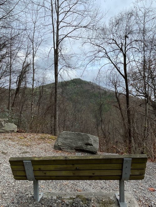 A wooden bench facing a mountain view, surrounded by bare trees and a gravel path under a cloudy sky.