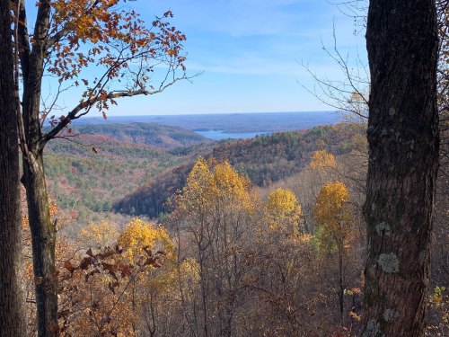 Scenic view of a valley with autumn foliage and a lake in the distance, framed by trees.