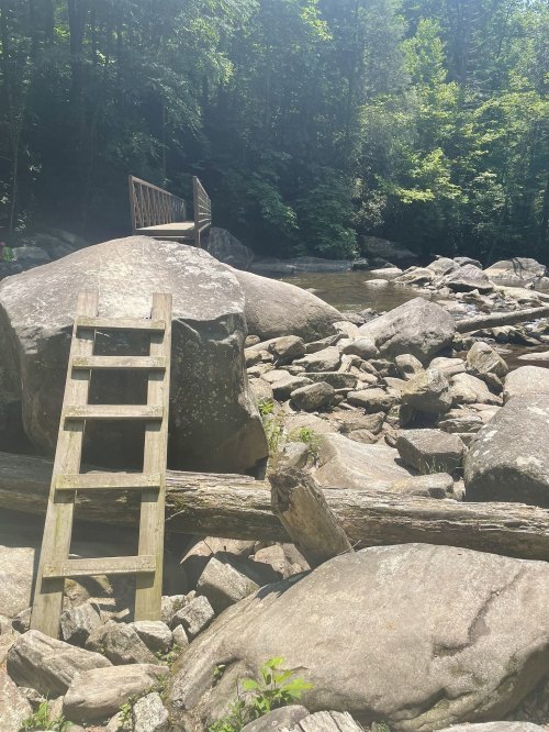 A wooden ladder leads up to a bridge over a rocky riverbank surrounded by lush green trees.