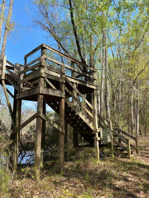 A wooden observation tower surrounded by trees, with stairs leading up to a platform under a clear blue sky.