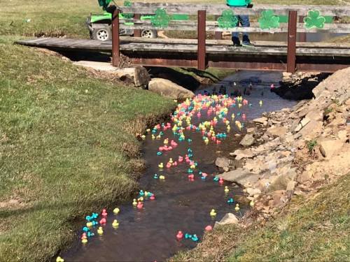 A stream filled with colorful rubber ducks, with a small bridge and a person in green nearby.