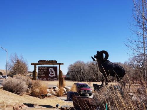A large ram statue stands beside a sign welcoming visitors to the National Bighorn Sheep Center on a clear day.