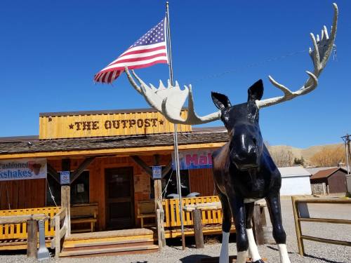 A large moose statue stands in front of a wooden building with a sign reading "The Outpost" and an American flag.