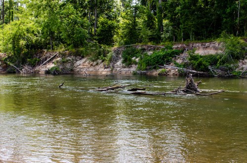 A serene river scene with green trees lining the banks and fallen logs partially submerged in the water.