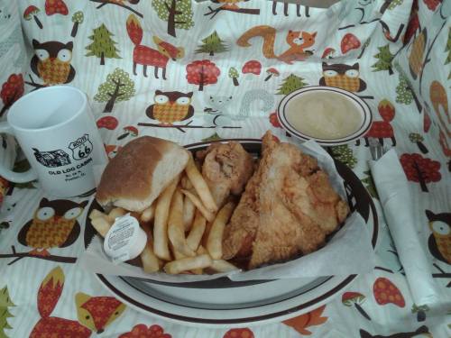 A plate of fried chicken, French fries, a roll, and applesauce on a colorful, nature-themed tablecloth.