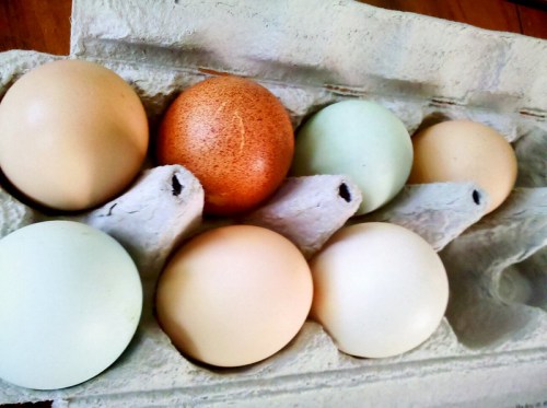 A carton of eggs featuring various colors: brown, light tan, and pale green.
