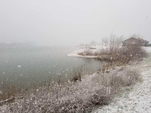 A snowy landscape by a lake, with falling snowflakes and a distant building surrounded by bare trees.