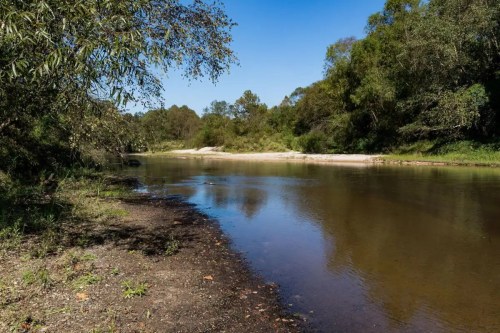 A serene riverbank scene with calm water, surrounded by lush greenery and clear blue skies.