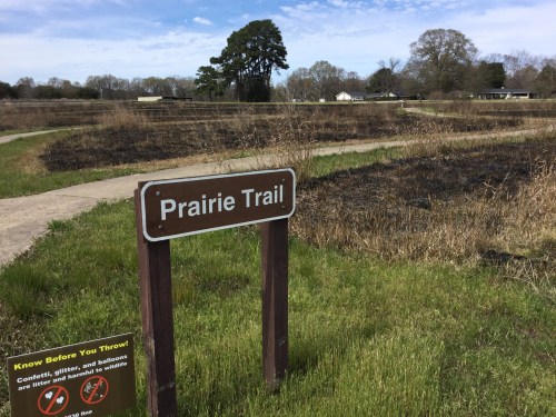 Sign for Prairie Trail in a grassy area with burned patches, surrounded by trees and a clear blue sky.