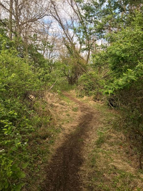 A narrow dirt path winding through lush greenery and trees under a partly cloudy sky.