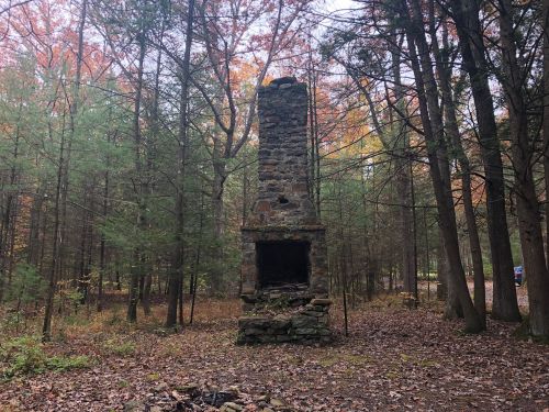 A stone chimney stands in a forest, surrounded by trees and fallen leaves, hinting at a former structure.