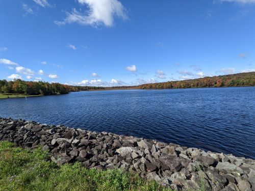 A serene lake surrounded by trees with autumn foliage under a clear blue sky and fluffy white clouds.