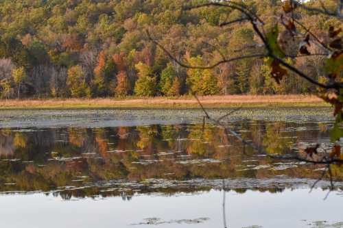 A serene lake reflecting colorful autumn trees and a clear sky, with gentle ripples on the water's surface.