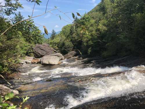 A flowing river surrounded by lush greenery and rocky terrain under a clear blue sky.