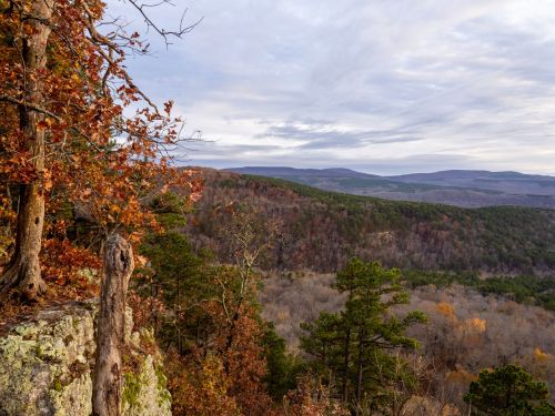 A scenic view of rolling hills and valleys, with autumn foliage and a cloudy sky in the background.