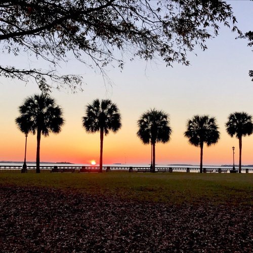 Sunset over a waterfront park, featuring palm trees silhouetted against a colorful sky.