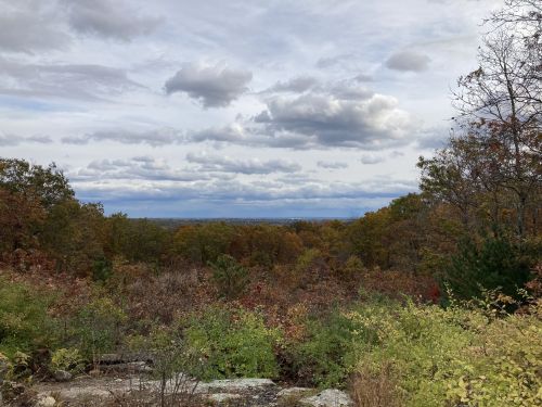 A scenic view of a forested landscape with colorful autumn foliage under a cloudy sky.