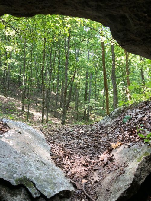 View of a lush green forest through a rocky opening, with trees and underbrush visible in the background.
